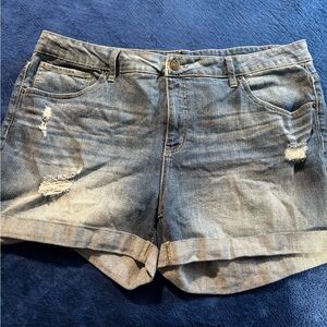 Size 20 ripped Mid-Rise blue Jeans